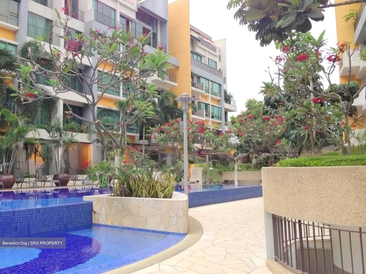 Tangerine Grove (D19), Condominium #578662871